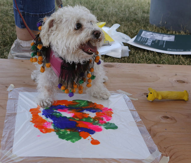dogtoberfest